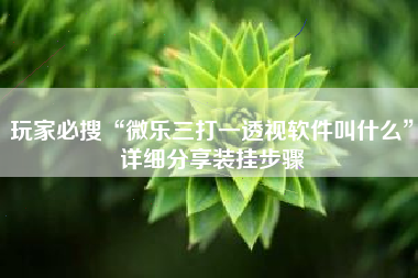 玩家必搜“微乐三打一透视软件叫什么	”详细分享装挂步骤