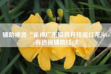 辅助神器“雀神广东麻将开挂器红龙poker有透视辅助挂(太