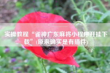 实操教程“雀神广东麻将小程序开挂下载”(原来确实是有插件)