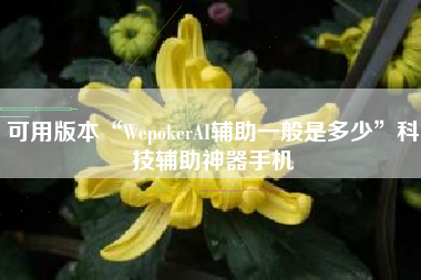 可用版本“WepokerAI辅助一般是多少”科技辅助神器手机