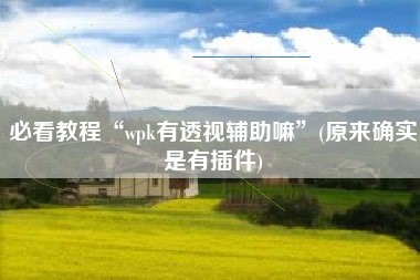 必看教程“wpk有透视辅助嘛”(原来确实是有插件)