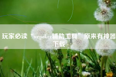 玩家必读“wepoker辅助工具”原来有神器下载