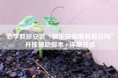 必学教你安装“微乐安徽麻将有挂吗	”开挂辅助脚本+详细开挂