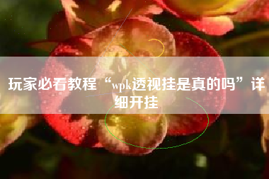 玩家必看教程“wpk透视挂是真的吗	”详细开挂
