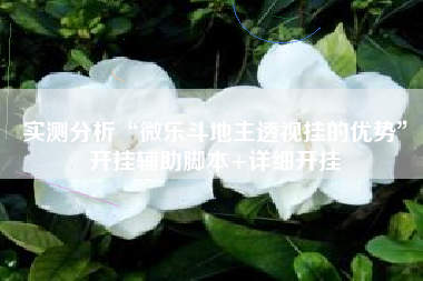 实测分析“微乐斗地主透视挂的优势”开挂辅助脚本+详细开挂