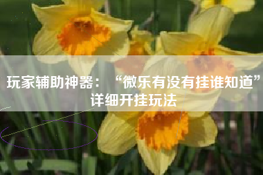 玩家辅助神器：“微乐有没有挂谁知道”详细开挂玩法