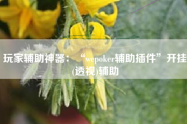 玩家辅助神器：“wepoker辅助插件”开挂(透视)辅助