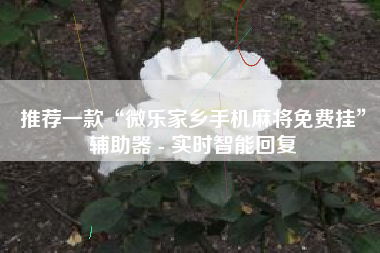 推荐一款“微乐家乡手机麻将免费挂”辅助器 - 实时智能回复