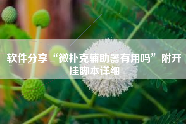 软件分享“微扑克辅助器有用吗	”附开挂脚本详细