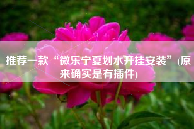 推荐一款“微乐宁夏划水开挂安装	”(原来确实是有插件)