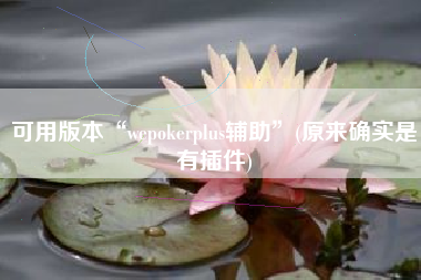 可用版本“wepokerplus辅助	”(原来确实是有插件)