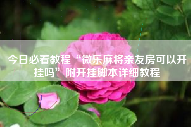 今日必看教程“微乐麻将亲友房可以开挂吗”附开挂脚本详细教程