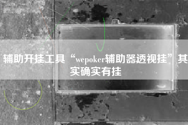 辅助开挂工具“wepoker辅助器透视挂”其实确实有挂
