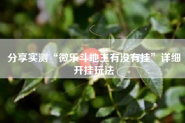分享实测“微乐斗地主有没有挂”详细开挂玩法