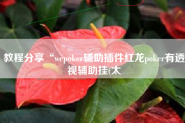 教程分享“wepoker辅助插件红龙poker有透视辅助挂(太