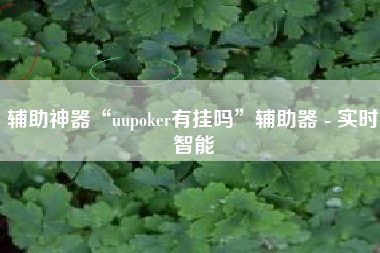 辅助神器“uupoker有挂吗	”辅助器 - 实时智能