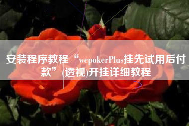 安装程序教程“wepokerPlus挂先试用后付款	”(透视)开挂详细教程