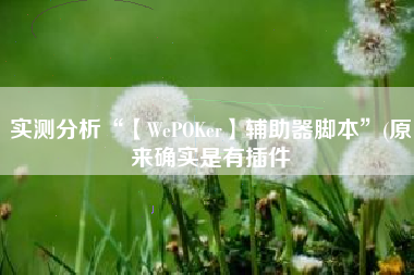实测分析“【WePOKer】辅助器脚本”(原来确实是有插件