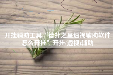 开挂辅助工具“德扑之星透视辅助软件怎么开挂	”开挂(透视)辅助
