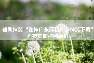 辅助神器“雀神广东麻将外卦神器下载”科技辅助神器手机