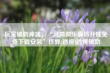 玩家辅助神器：“河南微乐麻将开挂免费下载安装	”作弊(透视)透视辅助