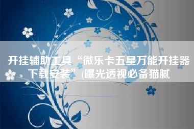 开挂辅助工具“微乐卡五星万能开挂器下载安装”(曝光透视必备猫腻