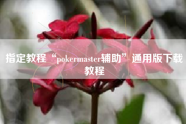 指定教程“pokermaster辅助”通用版下载教程