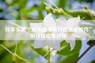 分享实测“微乐跑得快开挂版本软件	”附开挂脚本详细