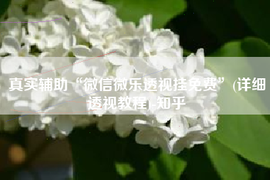 真实辅助“微信微乐透视挂免费	”(详细透视教程)-知乎