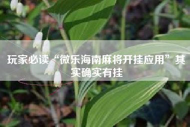 玩家必读“微乐海南麻将开挂应用”其实确实有挂