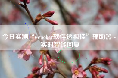 今日实测“wepoker软件透视挂	”辅助器 - 实时智能回复