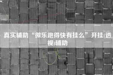 真实辅助“微乐跑得快有挂么	”开挂(透视)辅助