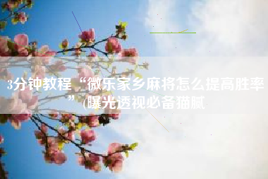 3分钟教程“微乐家乡麻将怎么提高胜率”(曝光透视必备猫腻