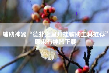 辅助神器“德扑之星开挂辅助工具推荐”原来有神器下载