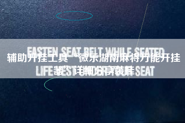 辅助开挂工具“微乐湖南麻将万能开挂器	”详细分享装挂