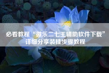 必看教程“微乐二七王辅助软件下载”详细分享装挂步骤教程