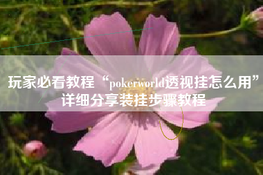 玩家必看教程“pokerworld透视挂怎么用	”详细分享装挂步骤教程