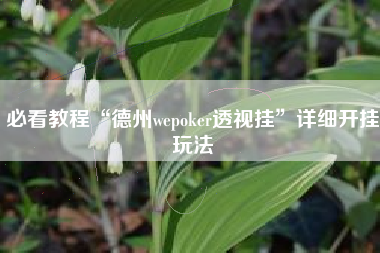 必看教程“德州wepoker透视挂	”详细开挂玩法