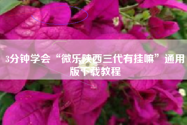 3分钟学会“微乐陕西三代有挂嘛”通用版下载教程