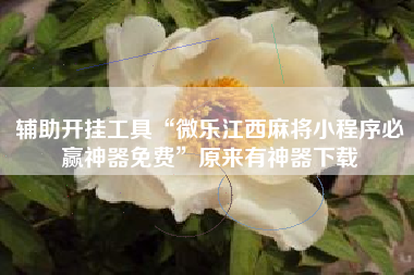 辅助开挂工具“微乐江西麻将小程序必赢神器免费	”原来有神器下载