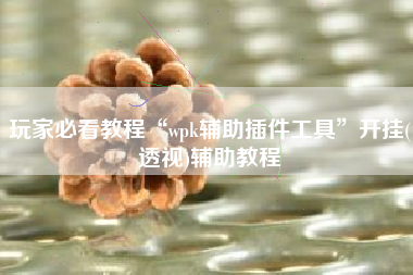 玩家必看教程“wpk辅助插件工具	”开挂(透视)辅助教程