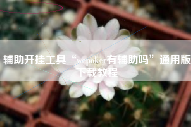 辅助开挂工具“wepoker有辅助吗	”通用版下载教程