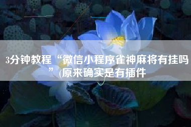 3分钟教程“微信小程序雀神麻将有挂吗”(原来确实是有插件