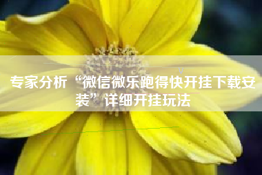 专家分析“微信微乐跑得快开挂下载安装”详细开挂玩法