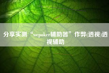 分享实测“wepoker辅助器”作弊(透视)透视辅助