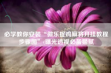 必学教你安装“微乐捉鸡麻将开挂教程步骤图	”(曝光透视必备猫腻