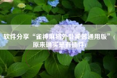 软件分享“雀神麻将外卦神器通用版”(原来确实是有插件)