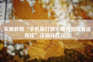 实操教程“手机版打微乐麻将到底有没有挂”详细开挂玩法