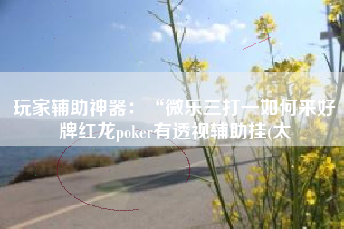 玩家辅助神器:“微乐三打一如何来好牌红龙poker有透视辅助挂(太 玩家辅助神器:“微乐三打一如何来好牌红龙poker有透视辅助挂(太