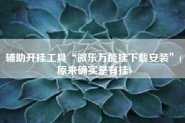 辅助开挂工具“微乐万能挂下载安装”(原来确实是有挂)